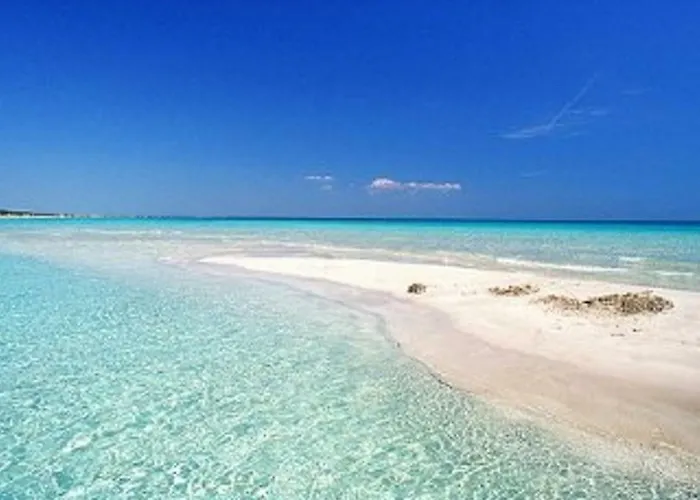 Vicino Al Mare Apartment *